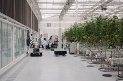 新春走下层｜新农夫守岁新农机巡田采摘！将来